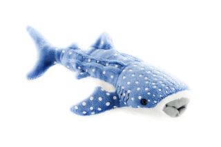 Obrázek z Žralok velrybí plyš 28cm (6) 